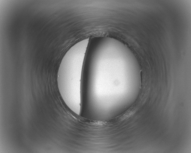 X0000067460432200604070931