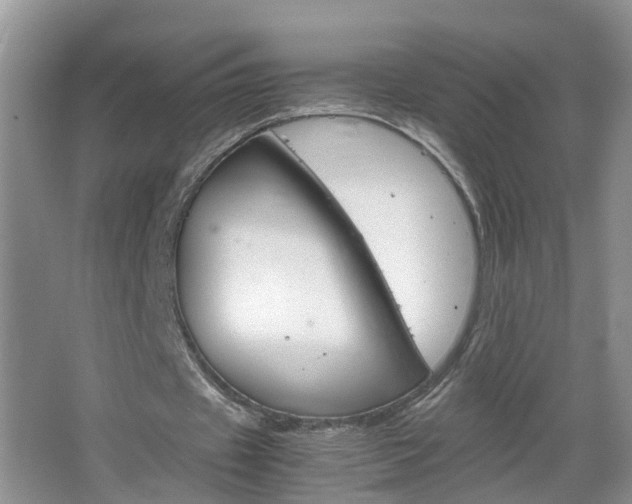 X0000067460433200604070931