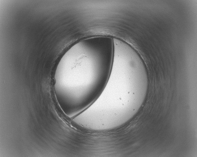 X0000067460434200604070931