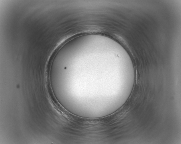 X0000067460435200604070931