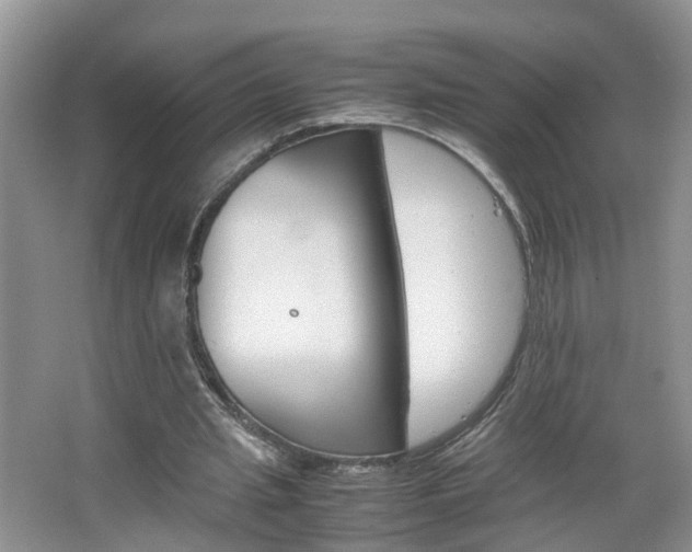 X0000067460437200604070931