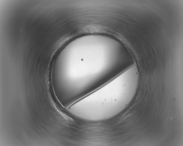 X0000067460438200604070931