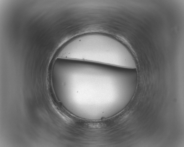 X0000067460439200604070931