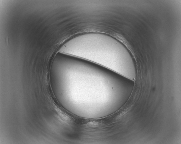 X0000067460441200604070931