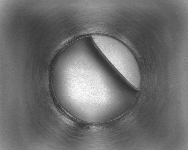 X0000067460442200604070931