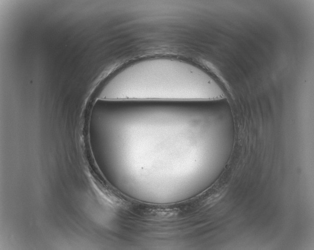 X0000067460443200604070931