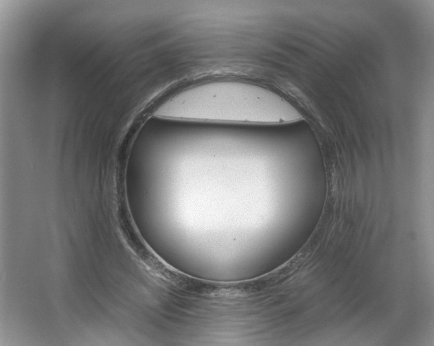 X0000067460444200604070931