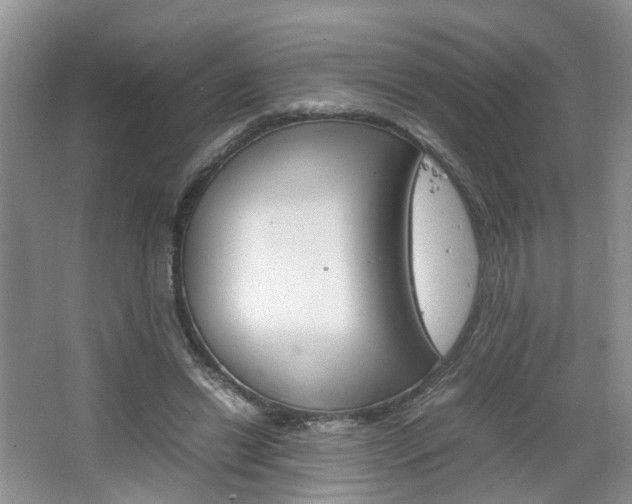 X0000067460446200604070931