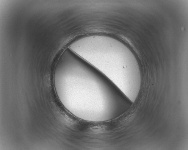 X0000067460447200604070931