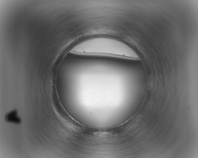 X0000067460448200604070931