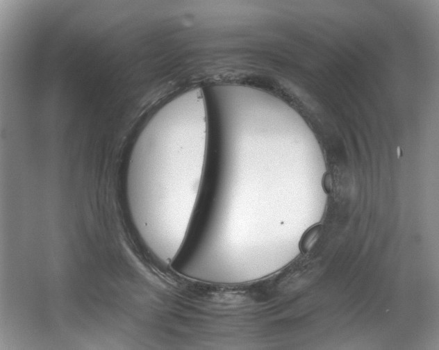 X0000067460451200604070931