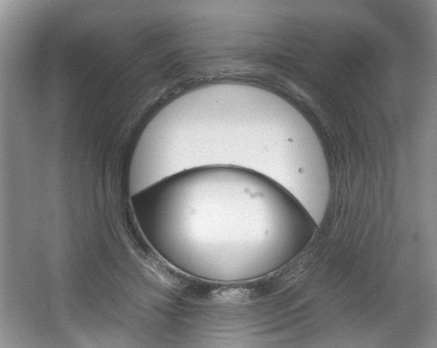 X0000067460452200604070931