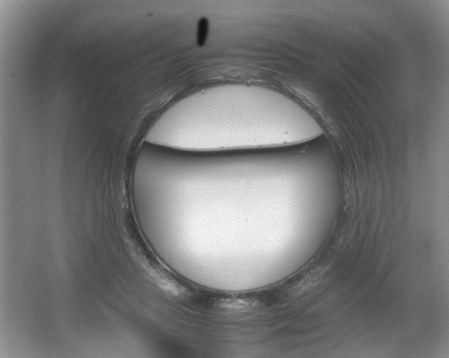 X0000067460453200604070931