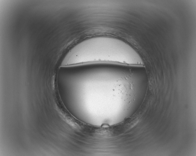 X0000067460454200604070931