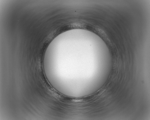 X0000067460457200604070931