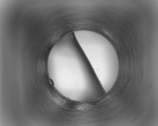 X0000067460459200604070931