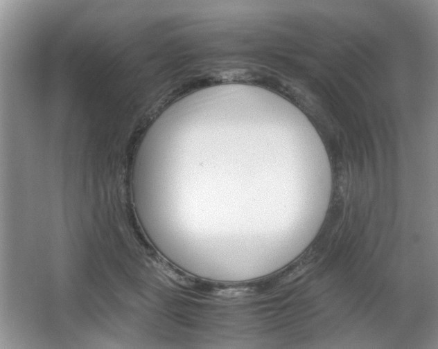 X0000067460461200604070931