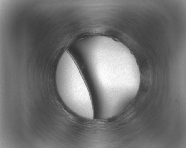 X0000067460462200604070931