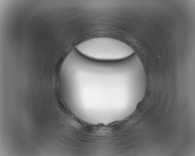 X0000067460463200604070931