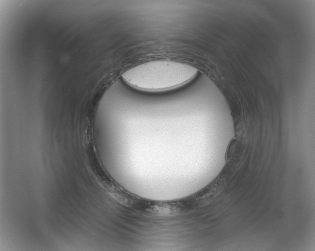 X0000067460464200604070931