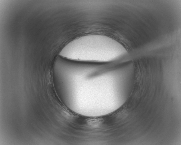 X0000067460465200604070931