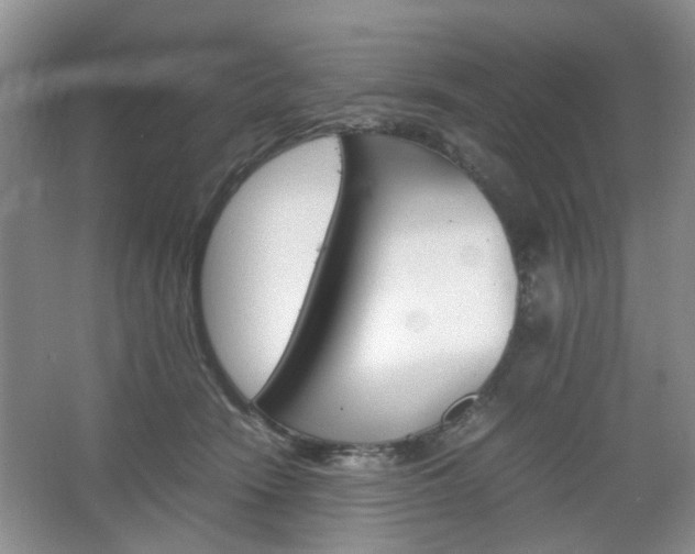 X0000067460466200604070931