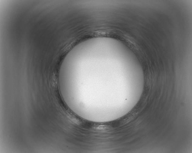 X0000067460467200604070931