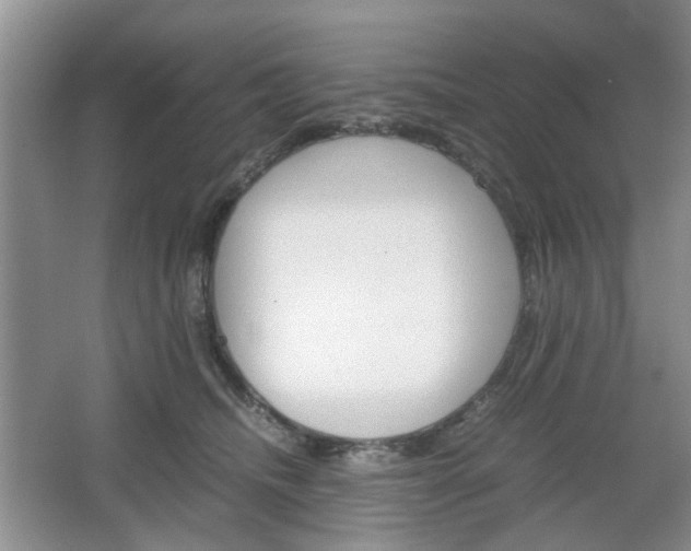 X0000067460468200604070931