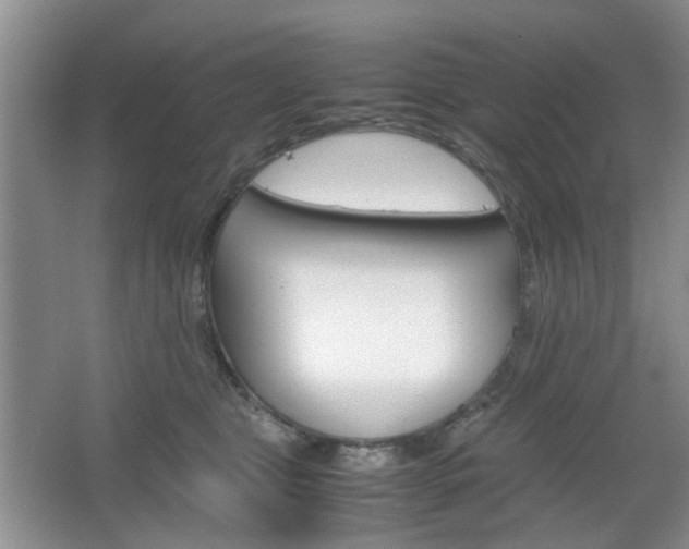 X0000067460469200604070931