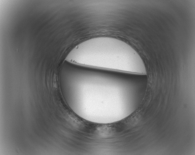 X0000067460470200604070931