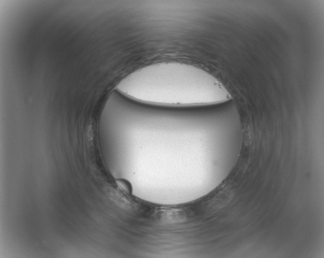 X0000067460472200604070931