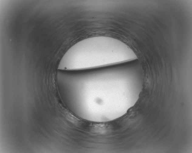 X0000067460473200604070931