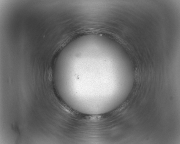 X0000067460474200604070931