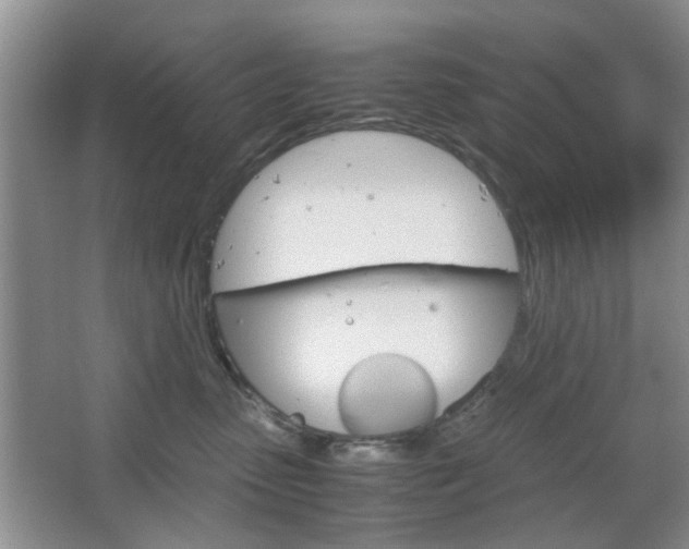 X0000067460475200604070931