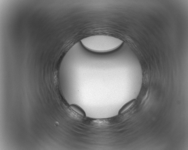 X0000067460477200604070931