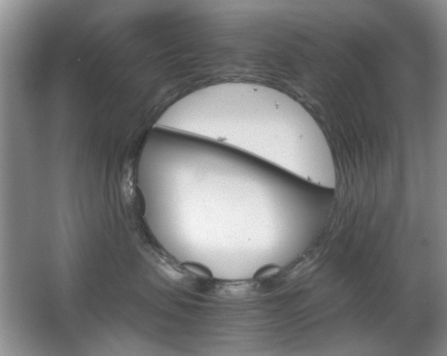 X0000067460479200604070931