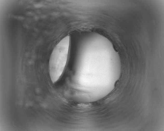 X0000067460480200604070931