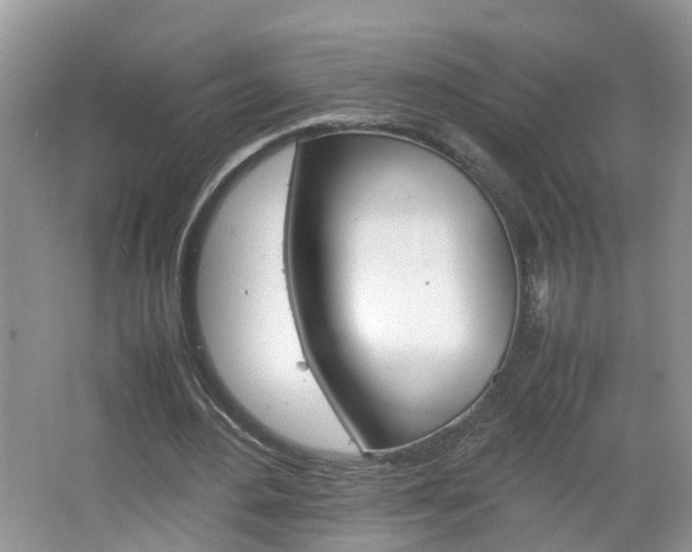 X0000067460484200604070930