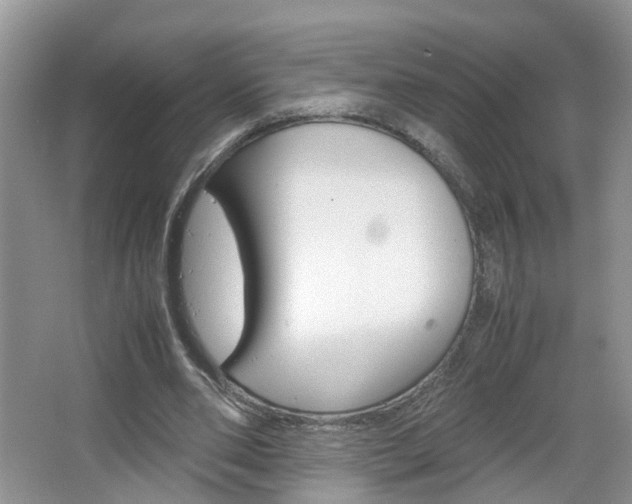 X0000067460486200604070930