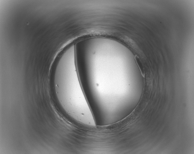 X0000067460488200604070930