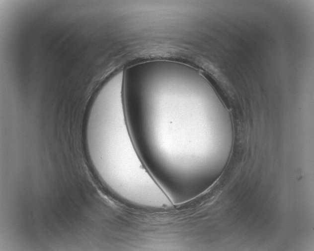 X0000067460489200604070930