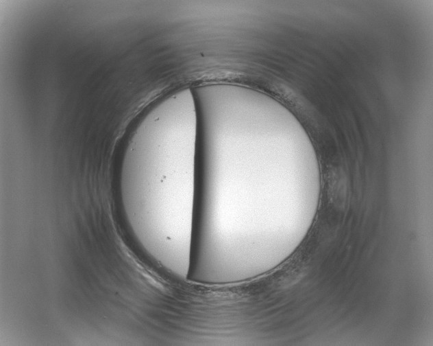 X0000067460490200604070930