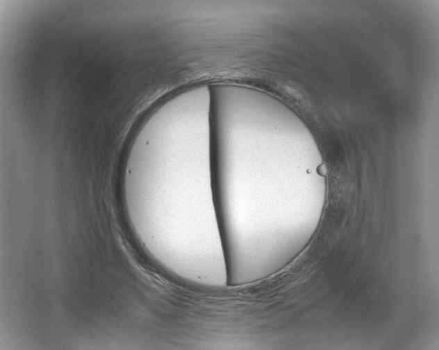 X0000067460491200604070930