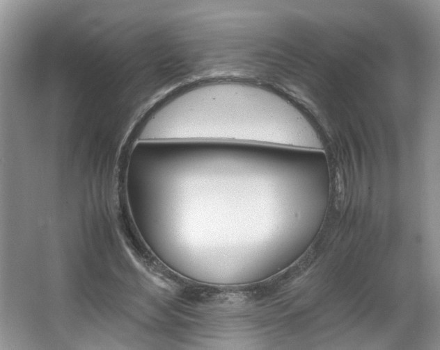 X0000067460492200604070930