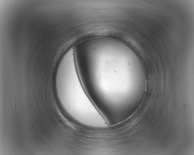 X0000067460493200604070930