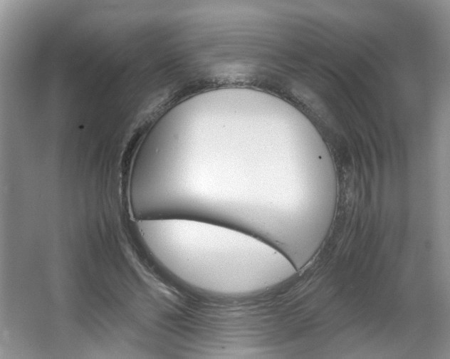 X0000067460494200604070930