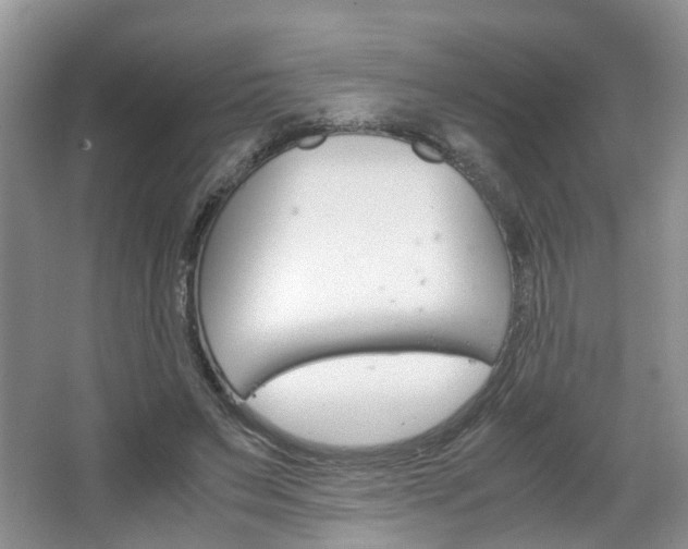 X0000067460495200604070930