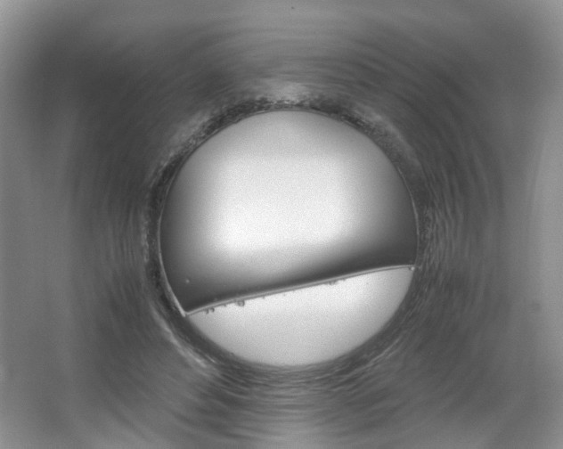 X0000067460496200604070930