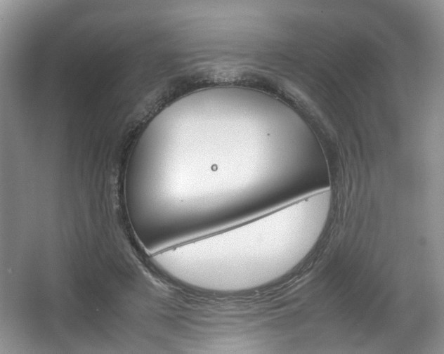 X0000067460497200604070930