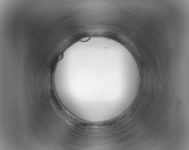 X0000067460498200604070930